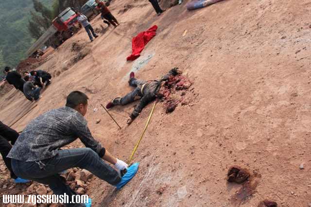 湖北巴东维权农民张如琼遭罐车碾死