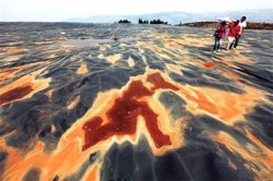 中国绘制土壤重金属污染